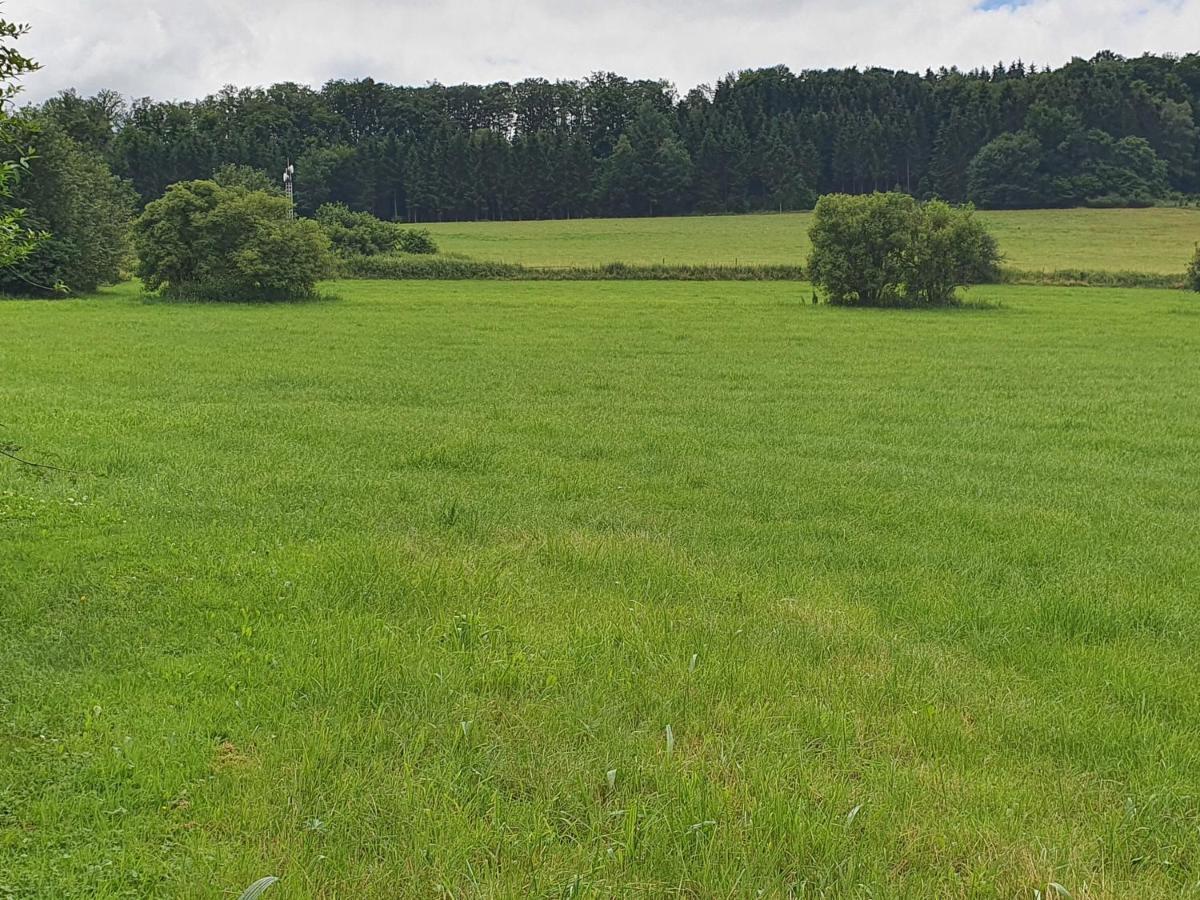 Ferienwohnungen Am Finkenweg Bestwig Exterior photo